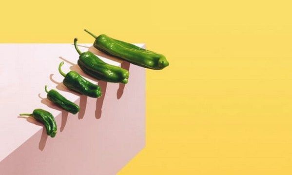 increases the size of the penis