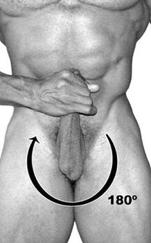 Exercise the bell for a member