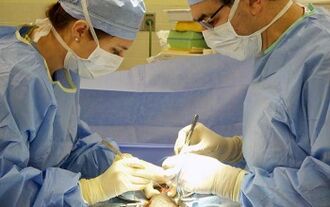 Surgical methods of penis growth
