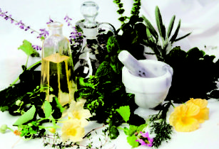 enlargement of the penis with herbs