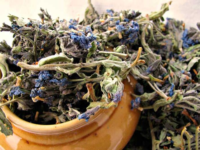 Dried lung fluid for the preparation of a medical infusion that enlarges a man's penis