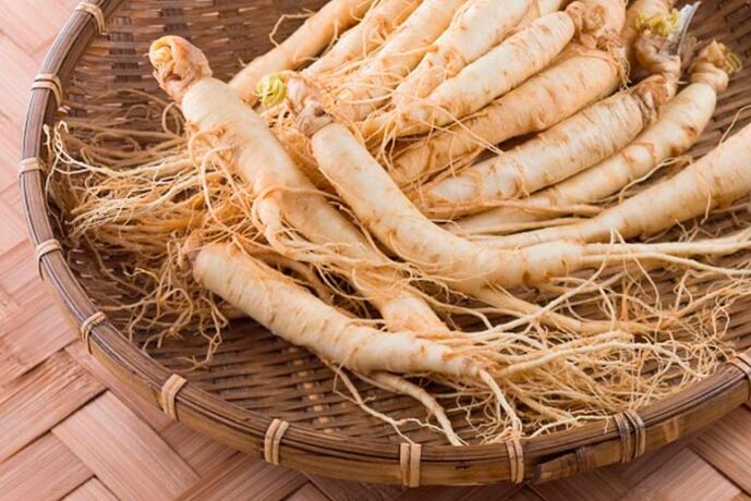 Ginseng root for the preparation of a tincture that stimulates blood circulation in the tissues of the penis